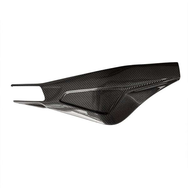 Swingarm protection kit carbon – Bild 2