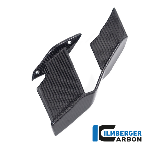 Ilmberger Carbon Winglet right side
