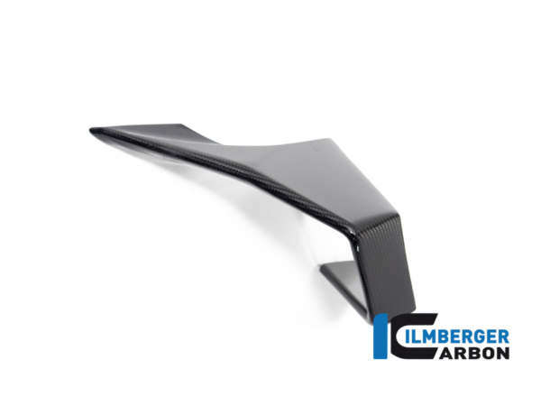Winglet links BMW M 1000 RR ab 2023 – Bild 2