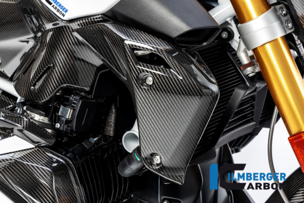 Wasserkühlerabdeckung rechts BMW R 1250 R