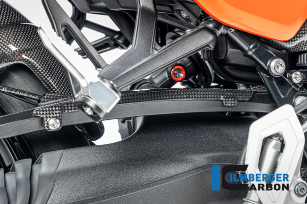 Bremsleitungsabdeckung Carbon glänzend BMW R12 NineT 2024 – Bild 2