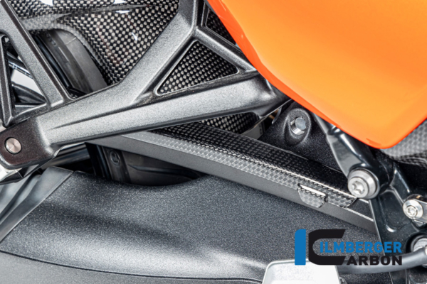 Bremsleitungsabdeckung Carbon glänzend BMW R12 NineT 2024 – Bild 3