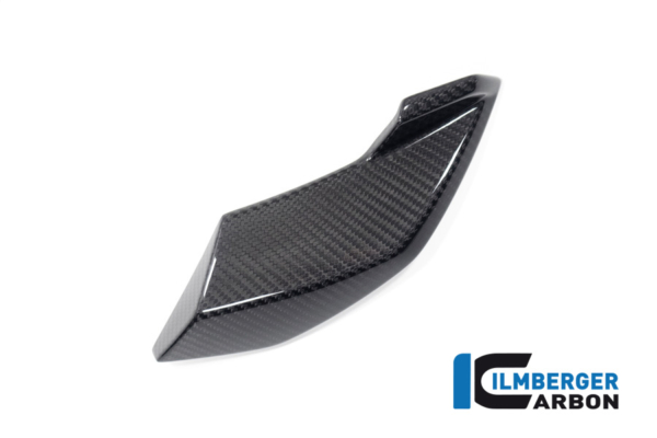 Seitliche Abdeckung am Scheinwerfer links BMW S 1000 R ab 2021 / M 1000 R ab 2023 – Bild 2