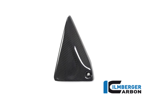 Rahmendreieckcover links BMW R 1250 GS / R 1250 R und RS – Bild 3