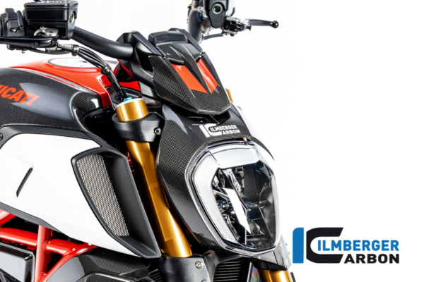 Instrumenteabdeckung glanz Diavel 1260 – Bild 3