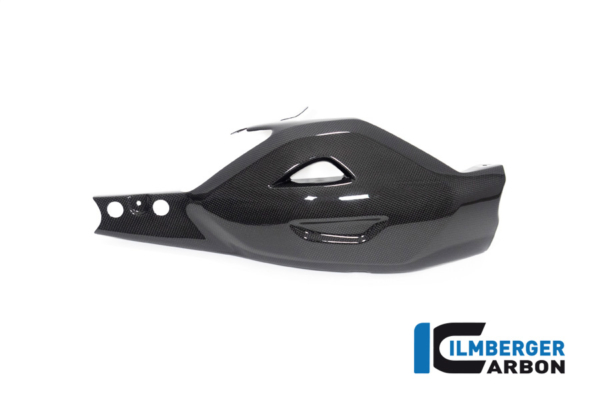 Schwingenschutz Ducati Diavel V4 ab 2023 glanz – Bild 2