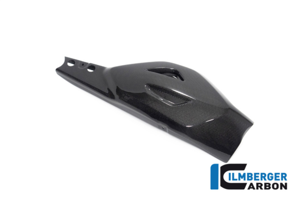 Schwingenschutz Ducati Diavel V4 ab 2023 glanz – Bild 4