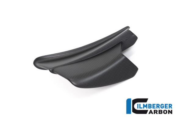 Winglet links matt Panigale V4 R – Bild 2