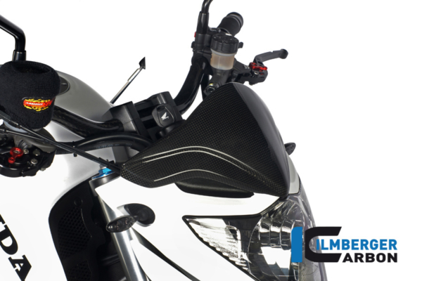 Windschild Carbon