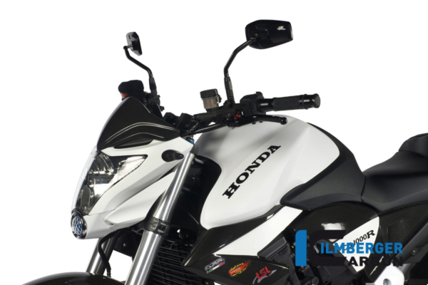 Windschild Carbon