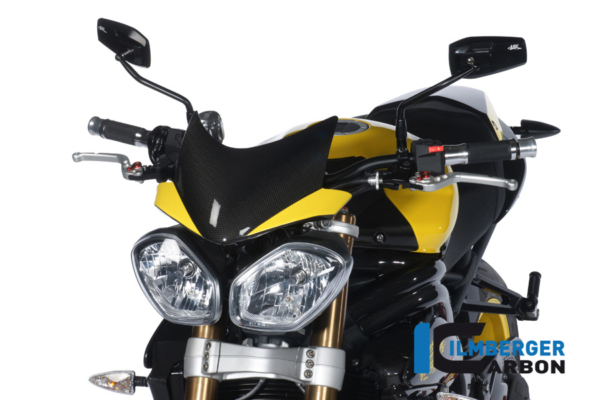 Windschild Carbon