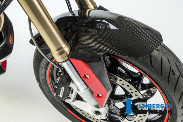 Kotflügel vorne Carbon BMW R 1200 R – Bild 4
