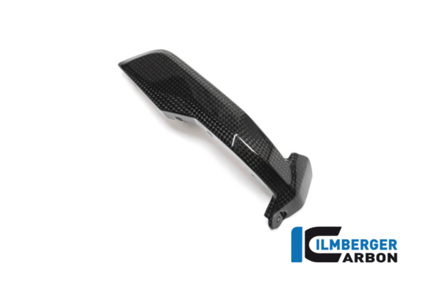Zündkerzenstecker Abdeckung rechts BMW LC Boxer - Carbon – Bild 4