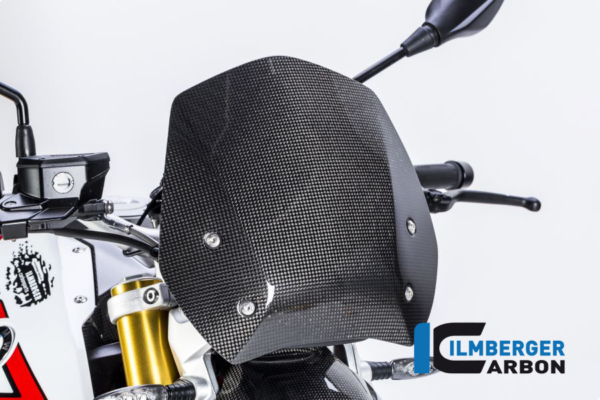 Windschild Carbon