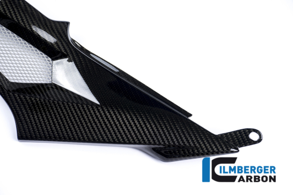 Seitendeckel links am Tank Racing Carbon