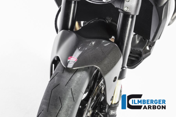 Kotflügel vorne Duc Monster 1200 glanz