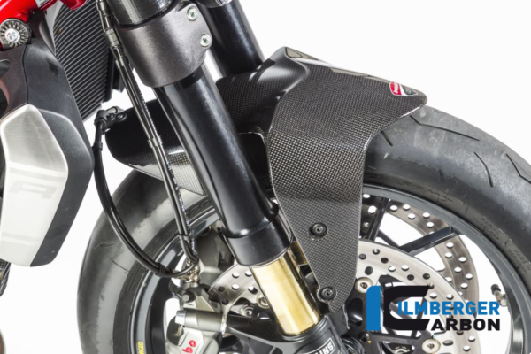Kotflügel vorne Duc Monster 1200 glanz – Bild 3