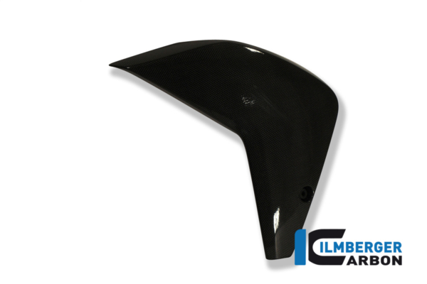 Verkleidungsflap links Carbon – Bild 2