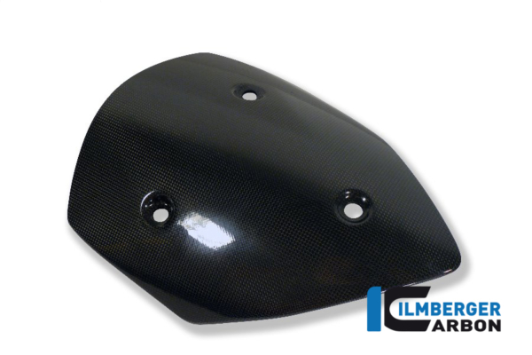 Windschild Carbon